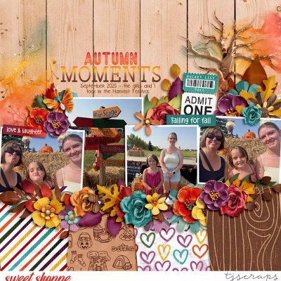 Autumn Moments