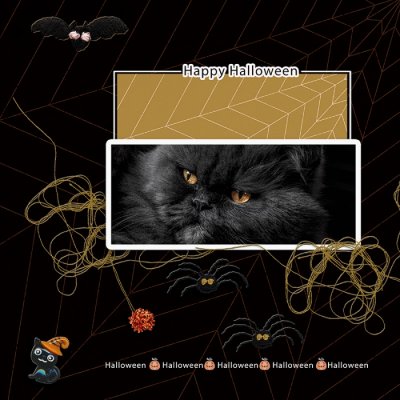 Happy Hallowee