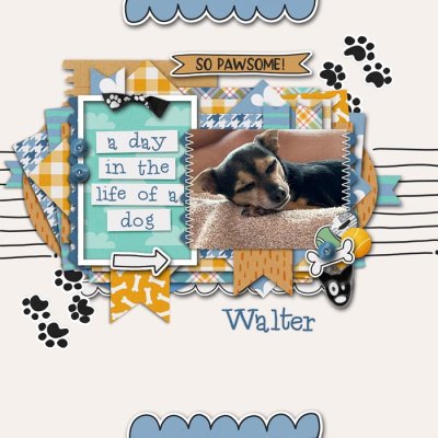 Walter Sleeping