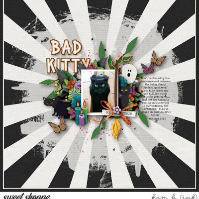 Bad Kitty
