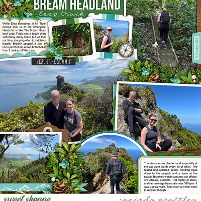 Bream Headland track
