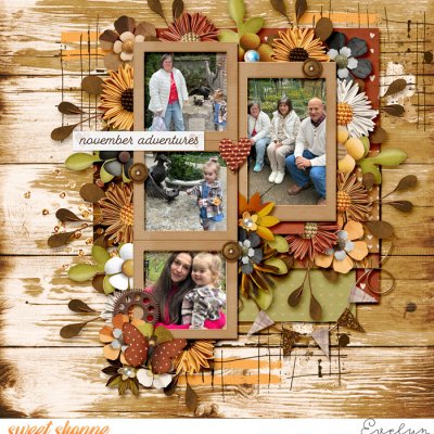 November Adventures