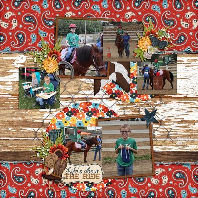 Horse Show