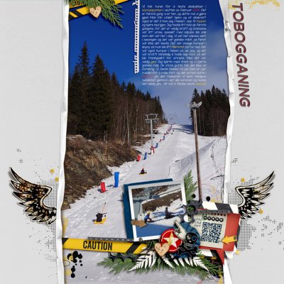 Tobogganing