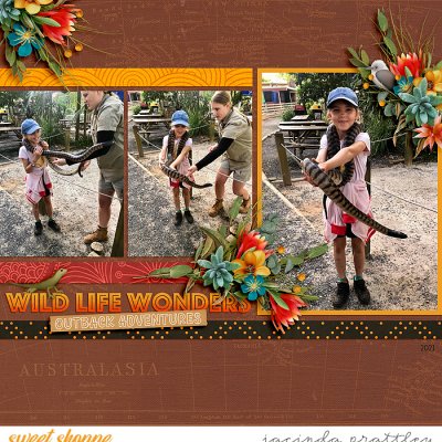 Wild life wonders