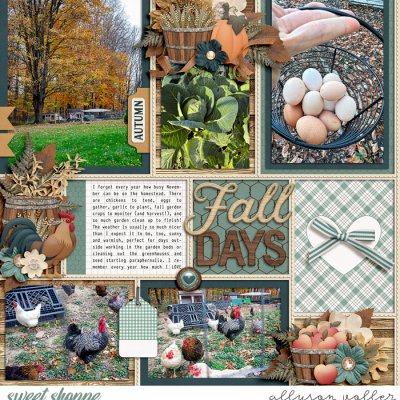Fall Days left