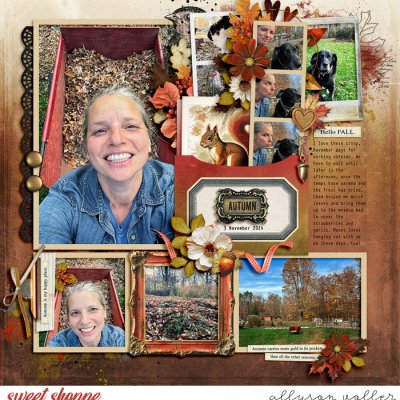 Autumn clean up
