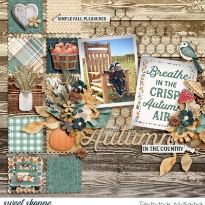 simple fall pleasures