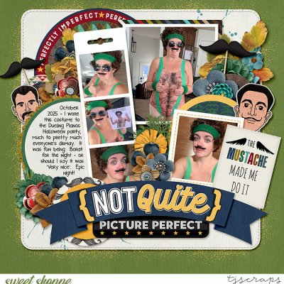 Not Quite Picture Perfect