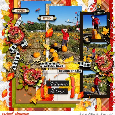 Autumn Harvest