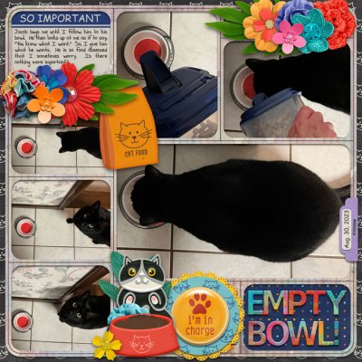 Empty Bowl!