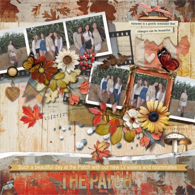 THE PATCH