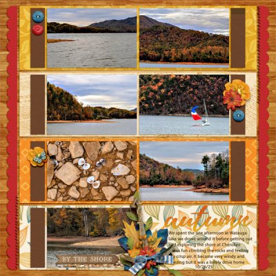 Autumn by the Shore