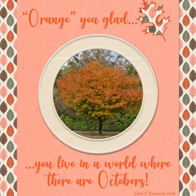 "Orange"-You-Glad