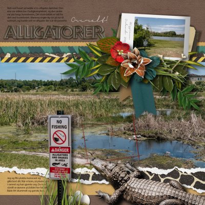 Alligators everywhere