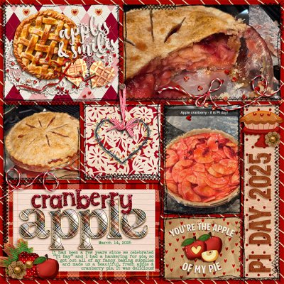 Apple Cranberry Pie