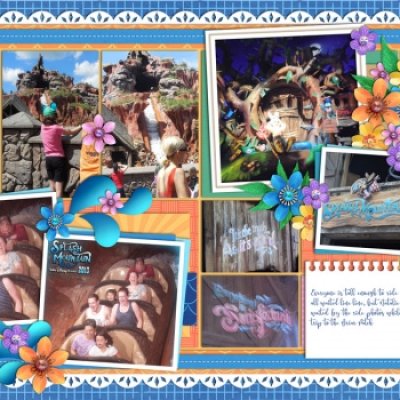 Splash Mountain: Down in the Briar Patch