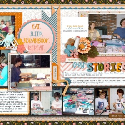 Preserving our Stories