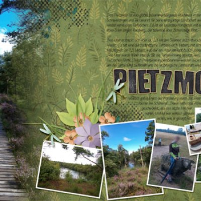 Pietzmoor
