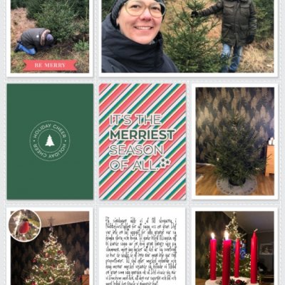 Week 49b 2024