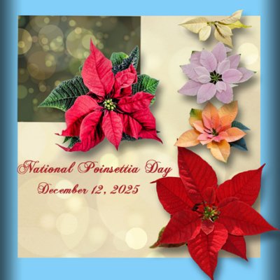 National Poinsettia Day