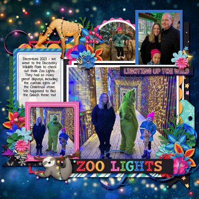 Zoo lights