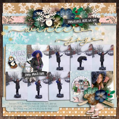 Winter joy