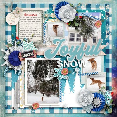 Joyful Snow