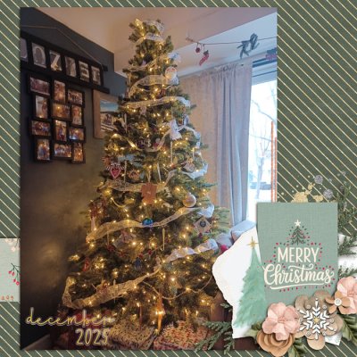 2025 Christmas Tree