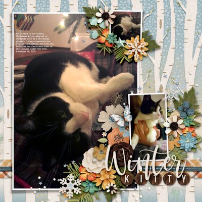Winter Kitty