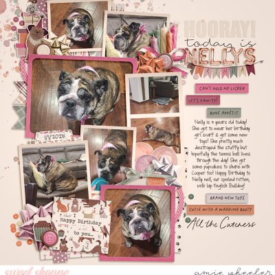 Hooray today is Nelly's birthday!