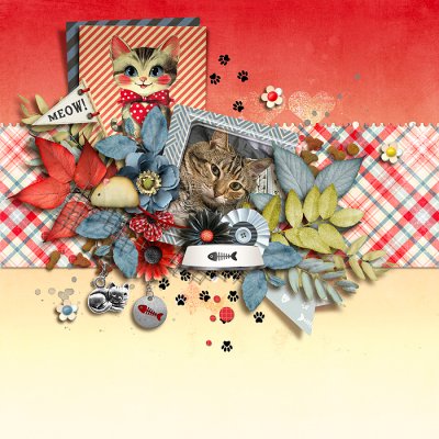 Meow
