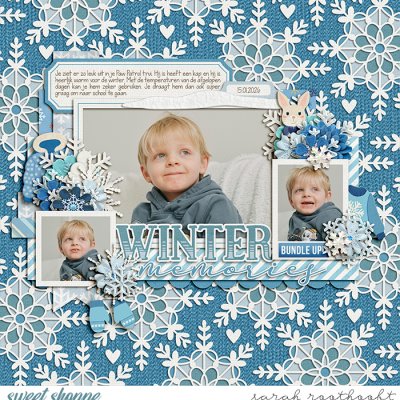 Winter Memories