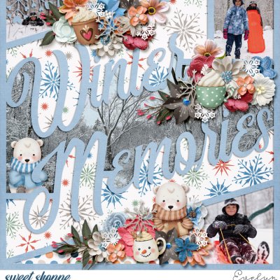 Our Winter Memories