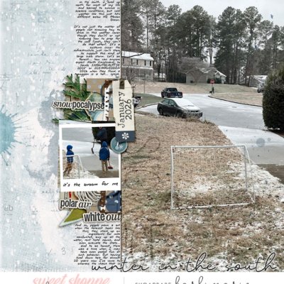 Winter in the South