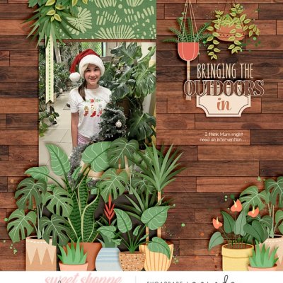 Bringing the outdoors in