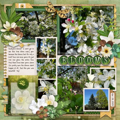 Blooms