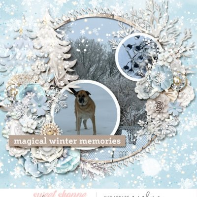 Magical Winter Memories