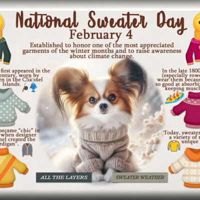ATC 2026-012 National Sweater Day