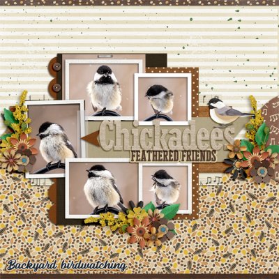 Chickadees