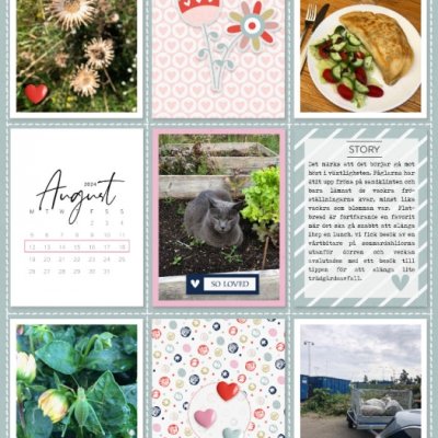 Week 33 a 2024