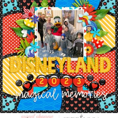 Disneyland 2023 album cover