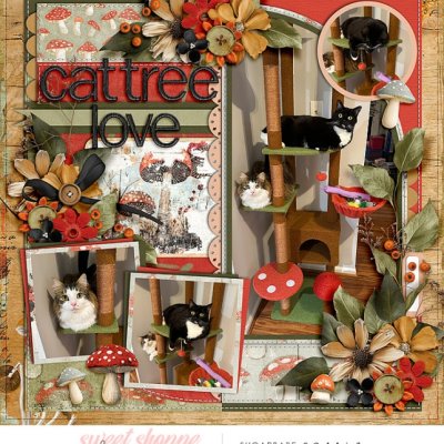 Cat Tree Love