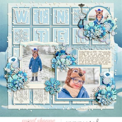 Winter Memories