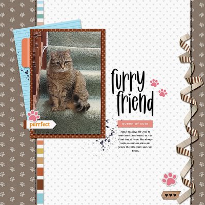 Furry Friend