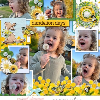Dandelion Days