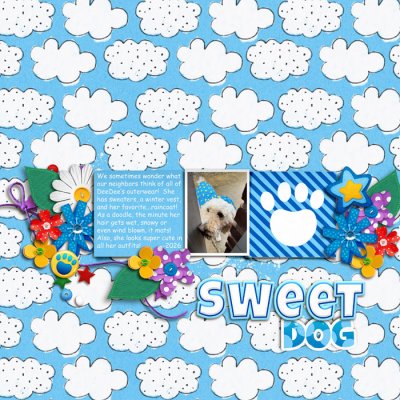 Sweet Dog