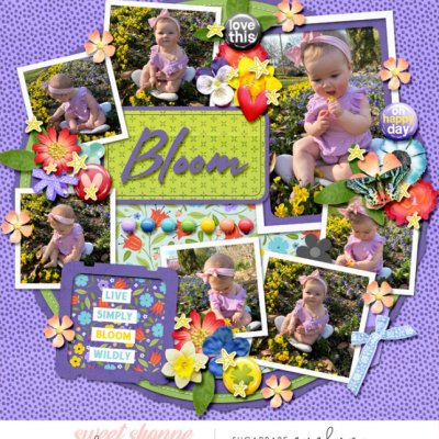 Bloom and Grow