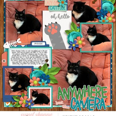 Anywhere but the camera