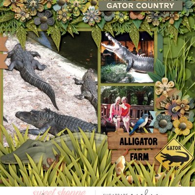 Gator Country